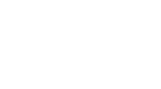 FIREFINCH logo